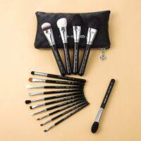 MASTER SERIES - 15 PCS CLASSIC BRUSH KIT - BRIGHT SILVER