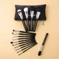 MASTER SERIES - 15 PCS CLASSIC BRUSH KIT - BRIGHT SILVER