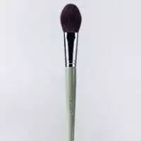 #№ 3 Universal face brush