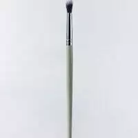 #№ 8 brush Eye