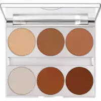 DUAL FINISH PALETTE 6 COLORS